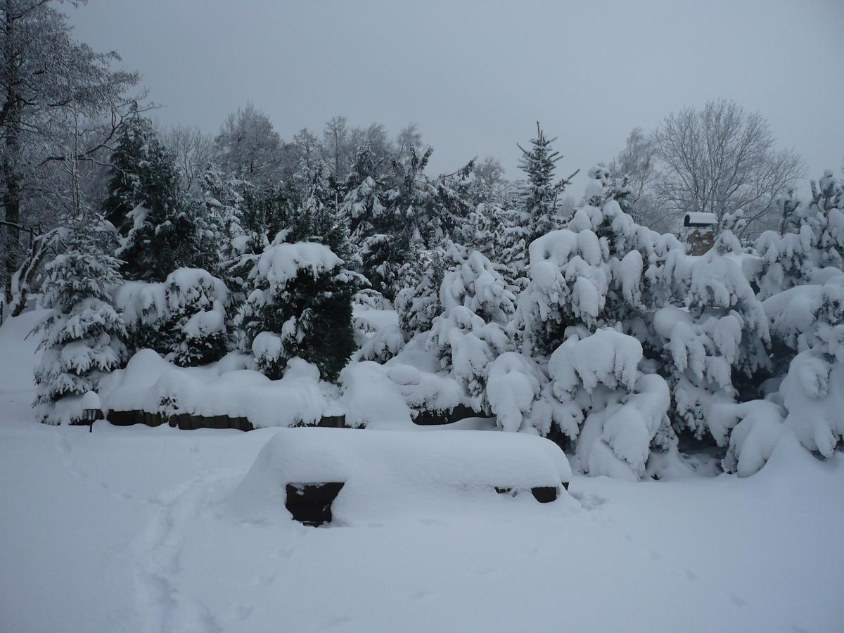 U Myslivce Villa Kamenicky Senov Dış mekan fotoğraf
